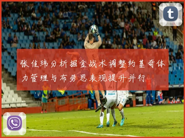 张佳玮分析掘金战术调整约基奇体力管理与布劳恩表现提升并行