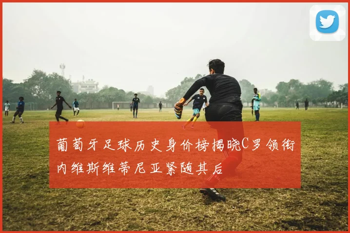 葡萄牙足球历史身价榜揭晓C罗领衔内维斯维蒂尼亚紧随其后