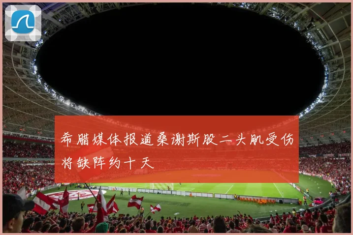 希腊媒体报道桑谢斯股二头肌受伤将缺阵约十天