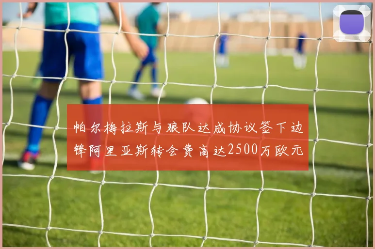 帕尔梅拉斯与狼队达成协议签下边锋阿里亚斯转会费高达2500万欧元