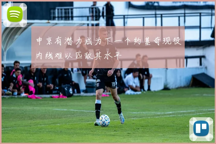 申京有潜力成为下一个约基奇现役内线难以匹敌其水平